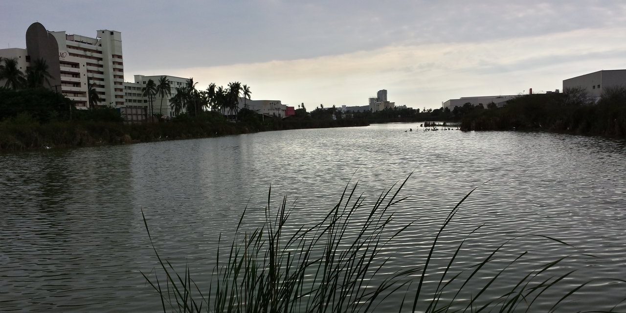 laguna del camaron