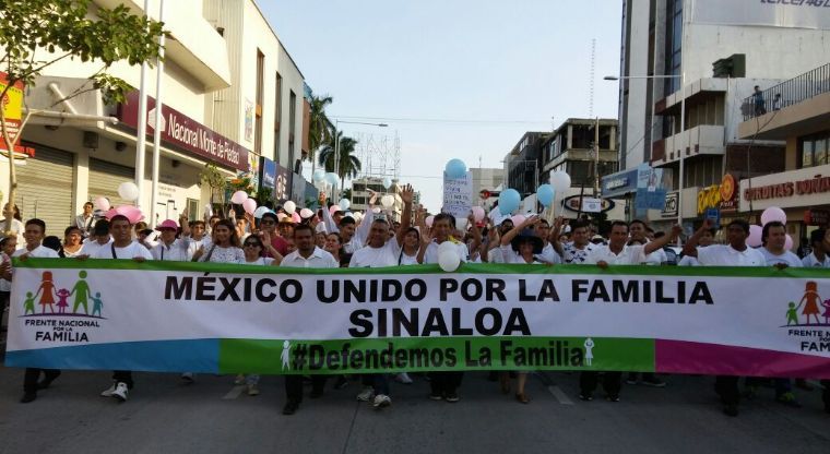 marcha-fnfsinaloa